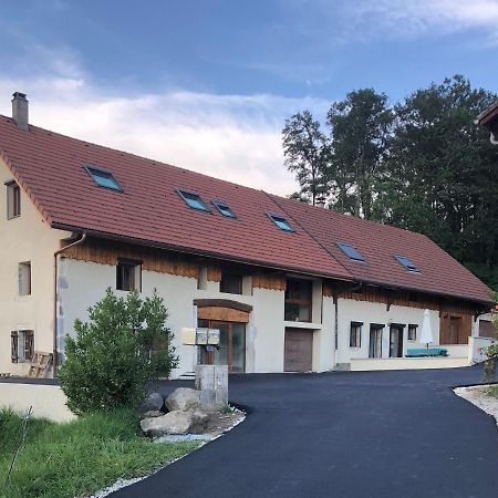 T4 Meuble De 105M2 Axe Annecy-Geneve Apartment Saint-Martin-Bellevue Екстериор снимка